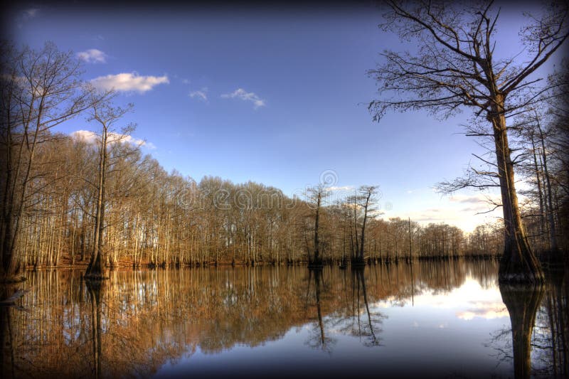 Bayou stock image. Image of texas, east, bayou, south 11881029