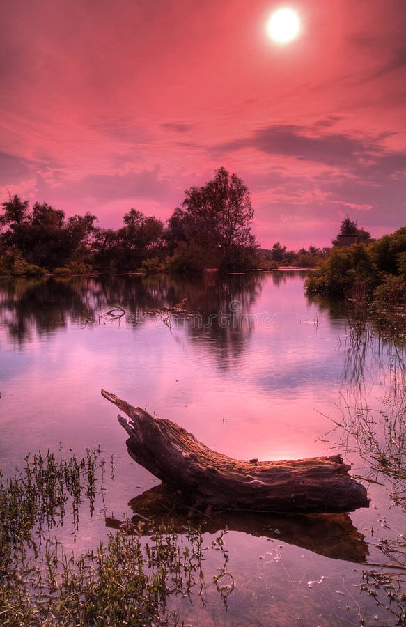 Bellissima scena del tramonto sul fiume Danubio in estate.