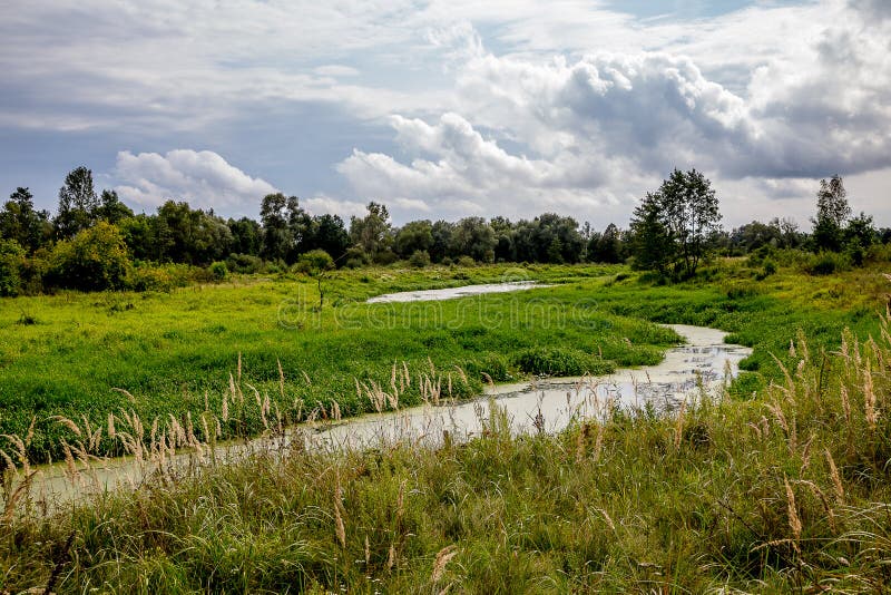 Calm and Quiet Beauty of Summer Village Stock Image - Image of villagen ...