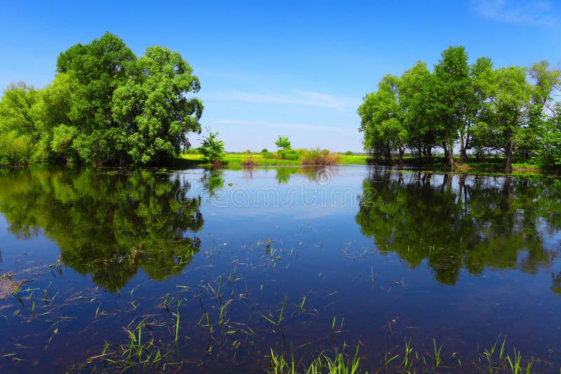 Calm river water and green trees as abstract gate