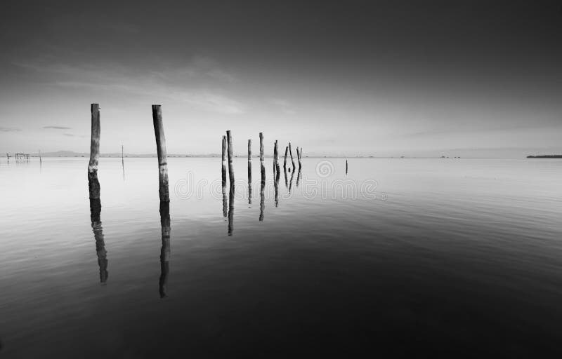 Calm scene with reflection of wooden pillars in black and white