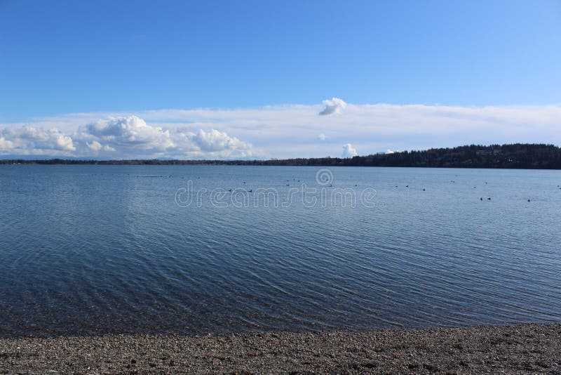 A Panoramic View of Drayton Harbor from Semiahmoo Spit Stock Image