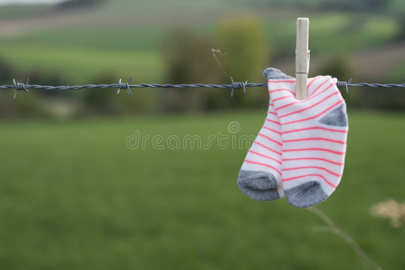 Calzini del bambino che si asciugano con la molletta da bucato di legno su filo spinato, contro il fondo verde fotografia stock Calzini del bambino che si asciugano con la molletta da bucato di legno su filo spinato, contro il fondo verde fotografia stock