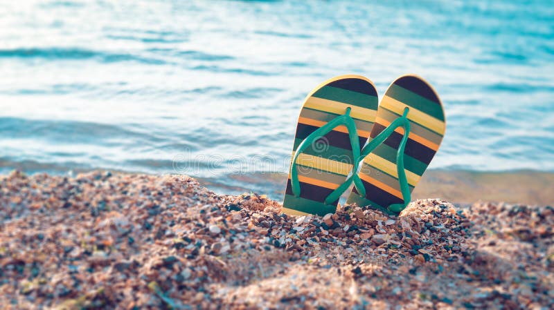 Calça falhanços de aleta, acessórios da praia com amarelo e verde imagens de stock royalty free Calça falhanços de aleta, acessórios da praia com amarelo e verde imagens de stock royalty free