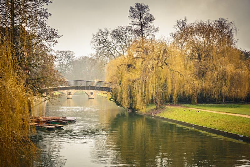 Cam river, Cambridge royalty free stock image