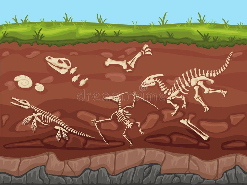 Desenho De Paleontologia De Esqueleto De Dinossauro Fóssil PNG , Antigo,  Dinossauro, Esqueleto Imagem PNG e Vetor Para Download Gratuito