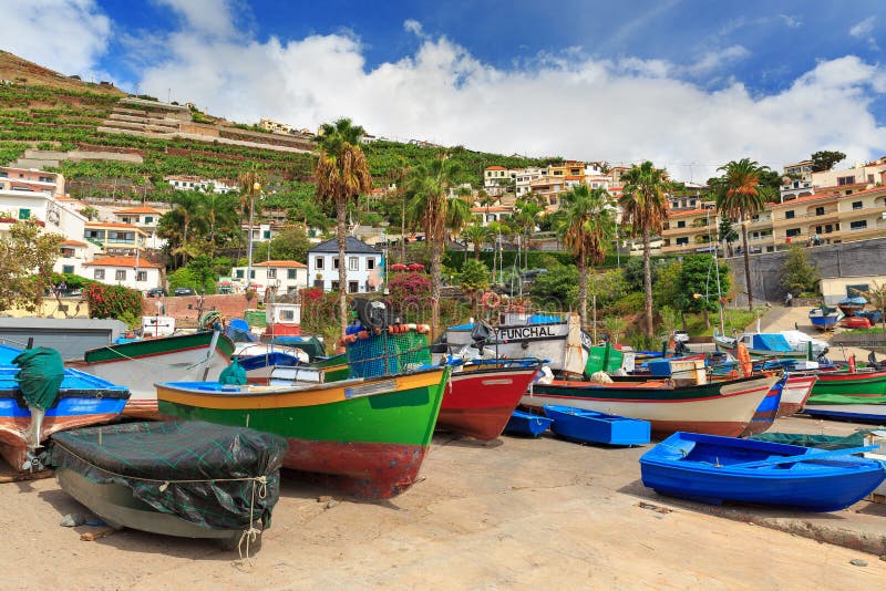 Camara de Lobos boats Madeira. Beautiful view of the colored fisher boats in the Harbor of Camara de Lobos on the island of Madeira in summer royalty free stock image Camara de Lobos boats Madeira. Beautiful view of the colored fisher boats in the Harbor of Camara de Lobos on the island of Madeira in summer royalty free stock image