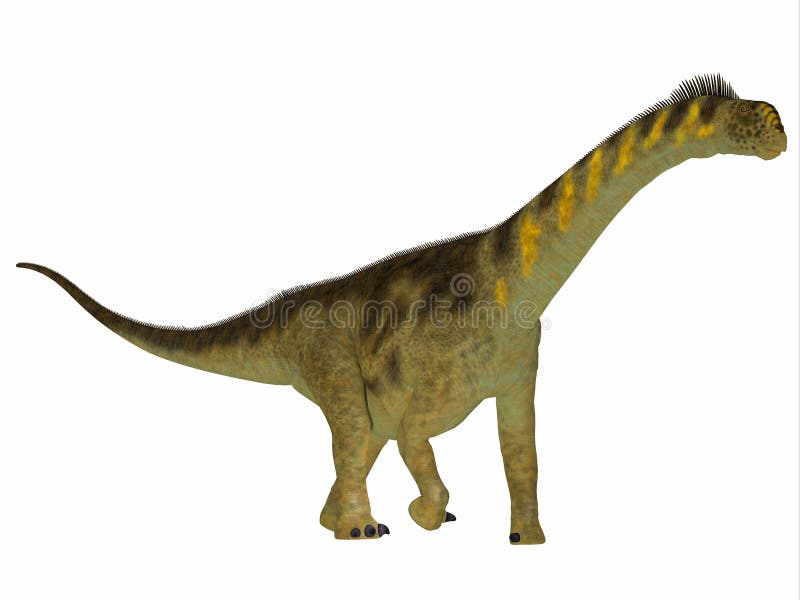 Camarasaurus Dinosaur Side Profile