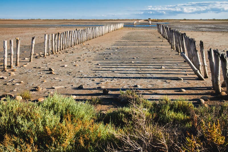 Camargue-Natur-Park, Frankreich Stockbild - Bild von ...