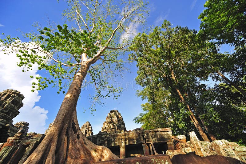 Cambodia, Angkor: The Preah Khan