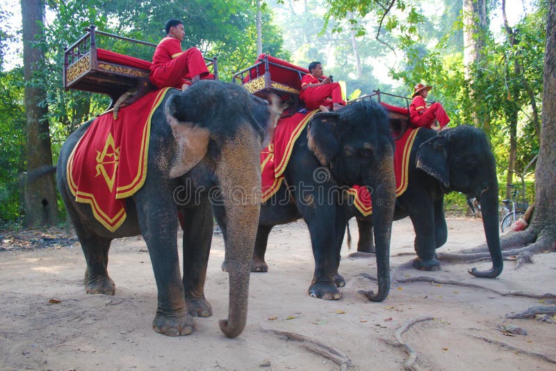 Cambodjaanse Olifantsruiters royalty-vrije stock foto Cambodjaanse Olifantsruiters royalty-vrije stock foto