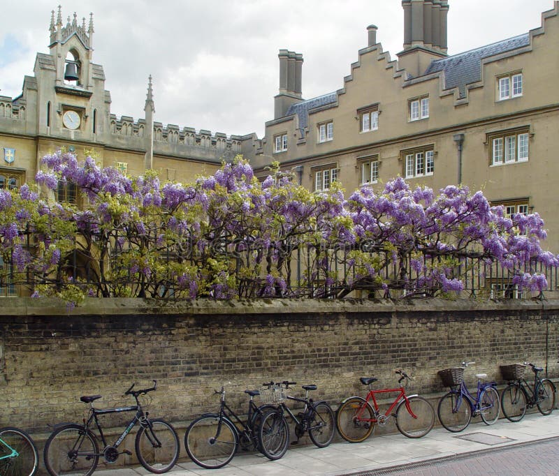 Cambridge bicycles
