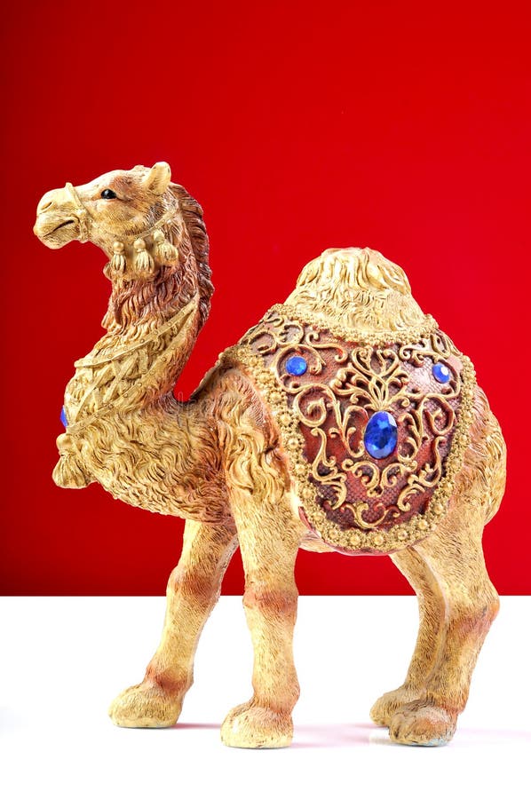 Camel