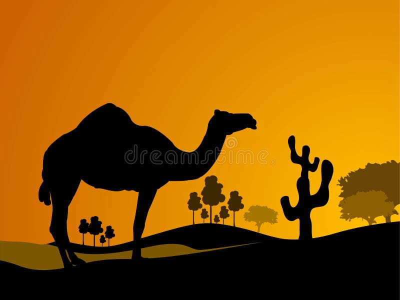 Camel and cactus