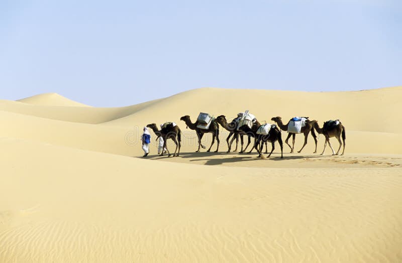 CAMEL caravan