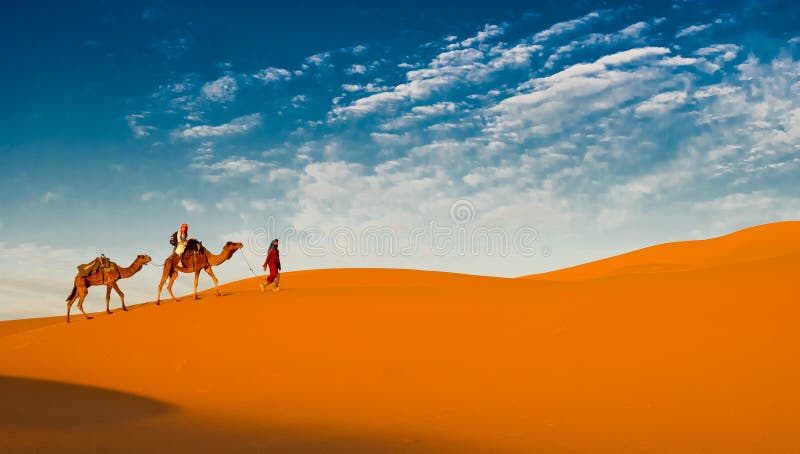 Camel caravan in the sahara desert