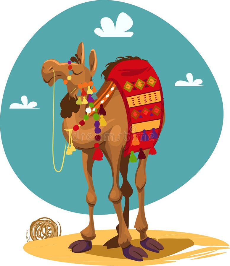 Camel vector illustration