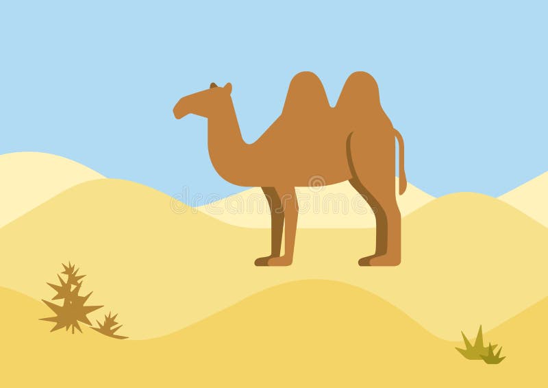 Camel Desert Habitat Flat Design Cartoon Vector Wild Animals Stock Vector -  Illustration of flat, nature: 45879715