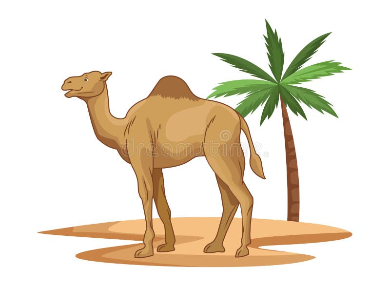 camels in desert clipart