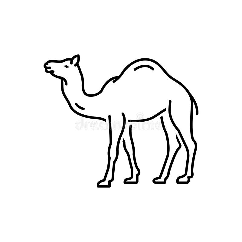 Camel Ship Desert Stock Illustrations – 201 Camel Ship Desert Stock  Illustrations, Vectors & Clipart - Dreamstime