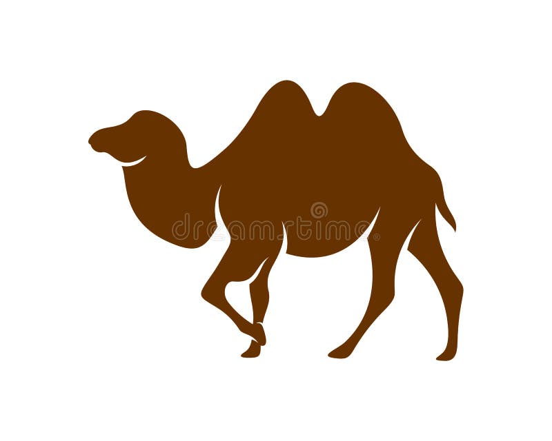 Camel Logo Vector, Animal Graphic, Camel Design Template Illustration ...