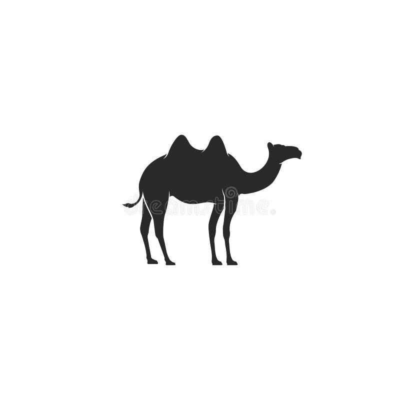 Camel logo stock vector. Illustration of trade, east, branding - 8110468