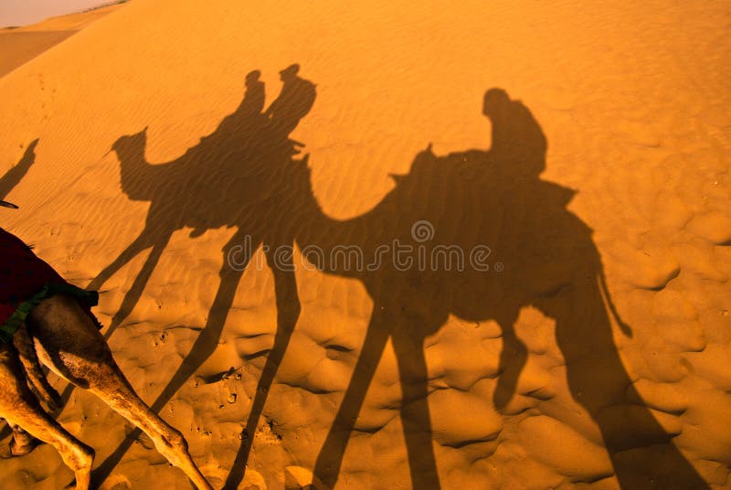 Camel ride