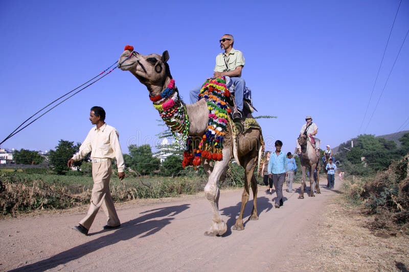 Camel ride