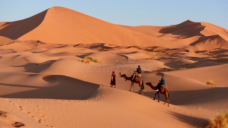 Camel ride over the sand dunes of the Sahara