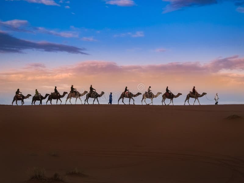 Camel riding of tourists caravan on sand dune in Sahara desert