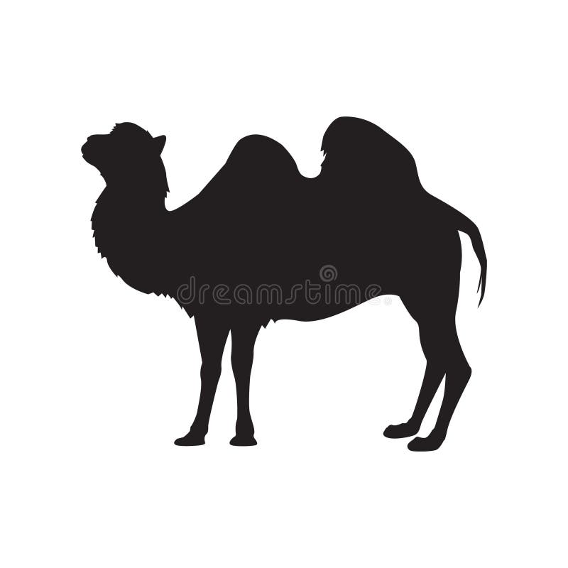 Silhouette of a Camel Caravan Stock Vector - Illustration of animal ...