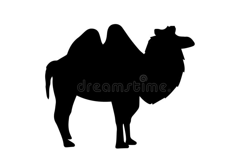 Camel Silhouette Stock Illustrations – 6,536 Camel Silhouette Stock ...