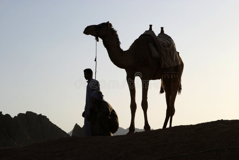 Na velbloudech při západu slunce v Egyptě.