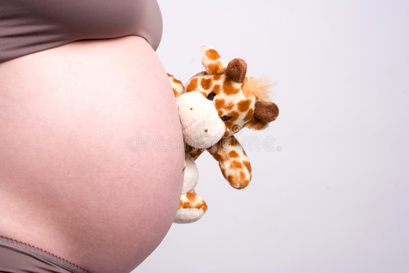 Camel toy watching pregnant belly