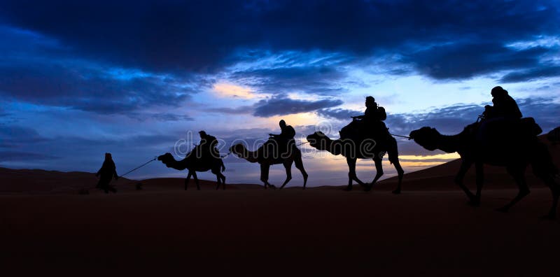 Camel train silhouetted colorful sky Sahara desert