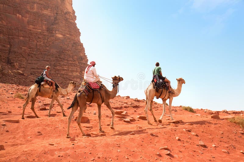 Camel trip in Wadi Rum desert, Jordan