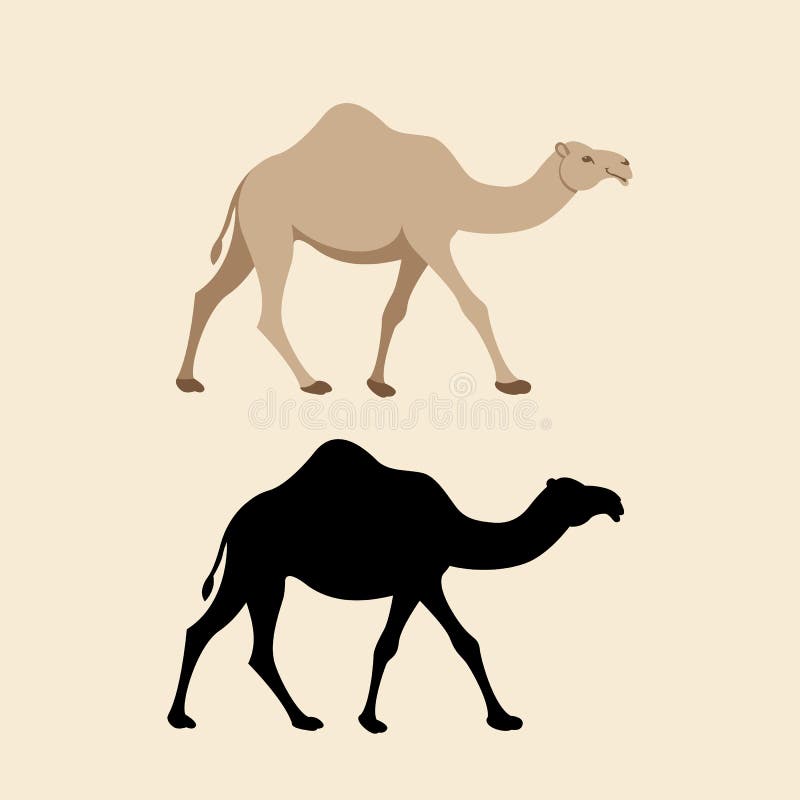 Camel vector illustration style flat silhouette. 