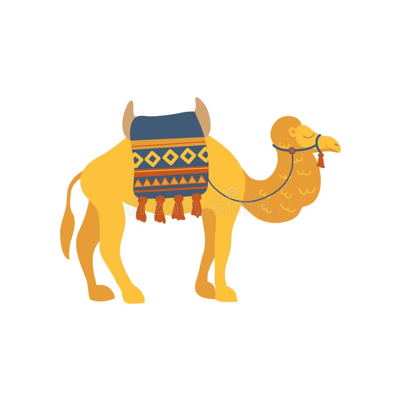 Camel Whit Saddle and Cover on the Back, Two Humped Desert Animal