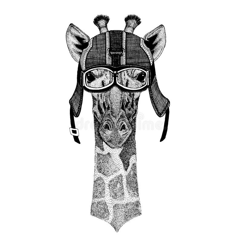 Camelopard, giraffe ζώο Hipster που φορά motorycle το κράνος Εικόνα για τα παιδιά παιδικών σταθμών που ντύνουν, παιδιά πουκάμισο