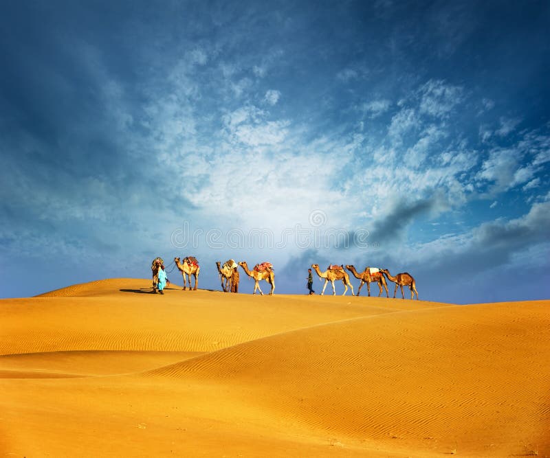 Camellos viajar a través de arena de desierto dunas.