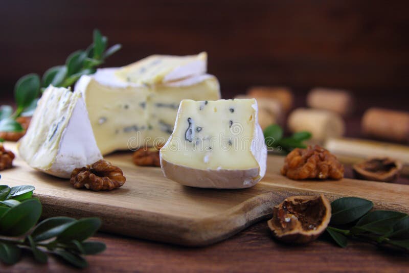 Camembert Cheese with a Blue Mold Stock Image Image of cheese