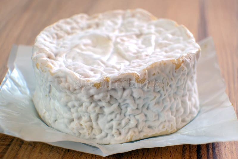Camembertkaas met vorm De kaas is goed voor gezondheid en spijsvertering Het concept het gezonde eten royalty-vrije stock afbeeldingen Camembertkaas met vorm De kaas is goed voor gezondheid en spijsvertering Het concept het gezonde eten royalty-vrije stock afbeeldingen