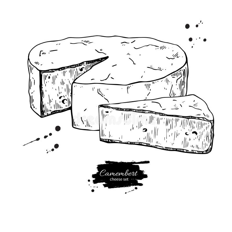 Camembert cheese block and triangle drawing. Vector hand drawn food sketch. Engraved Slice cut. Farm market product for label, poster, icon, packaging. Dairy vintage product. Camembert cheese block and triangle drawing. Vector hand drawn food sketch. Engraved Slice cut. Farm market product for label, poster, icon, packaging. Dairy vintage product