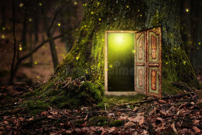 Camera dentro l'albero fotografia stock libera da diritti