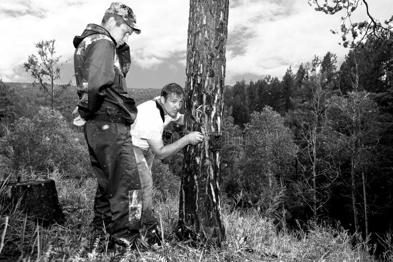 Camera trap on the tree