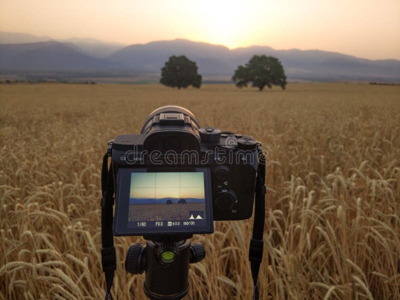 Camera on a Tripod Captures Landscape Stock Photo Image of digital