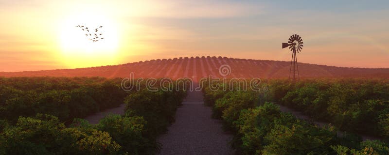 Cameron Highlands stockfoto Cameron Highlands stockfoto