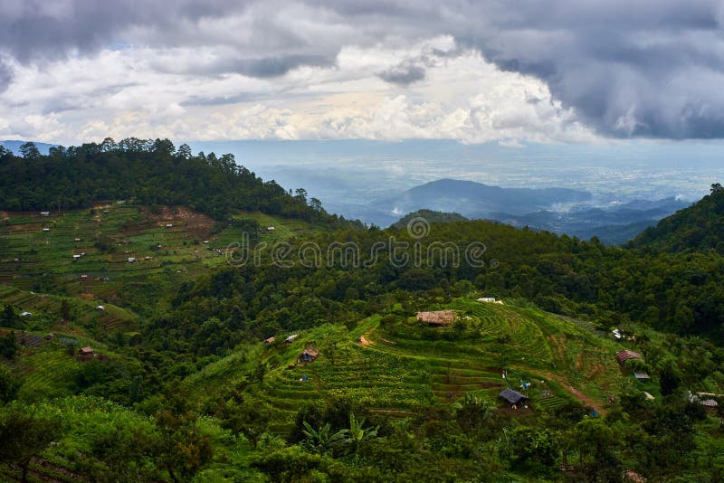 Camina el campo del arroz en septentrional de Tailandia imágenes de archivo libres de regalías Camina el campo del arroz en septentrional de Tailandia imágenes de archivo libres de regalías