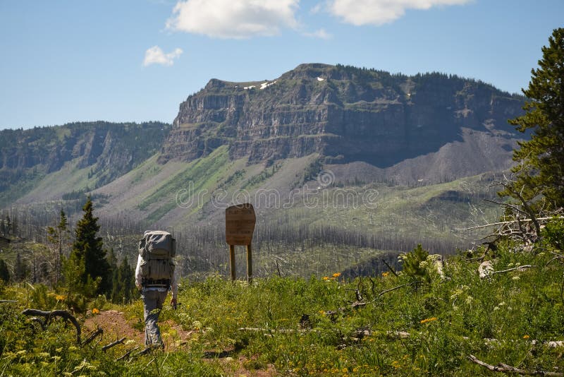 Caminante en rastro de montaña de Colorado Flattops por el lago trappers imágenes de archivo libres de regalías Caminante en rastro de montaña de Colorado Flattops por el lago trappers imágenes de archivo libres de regalías