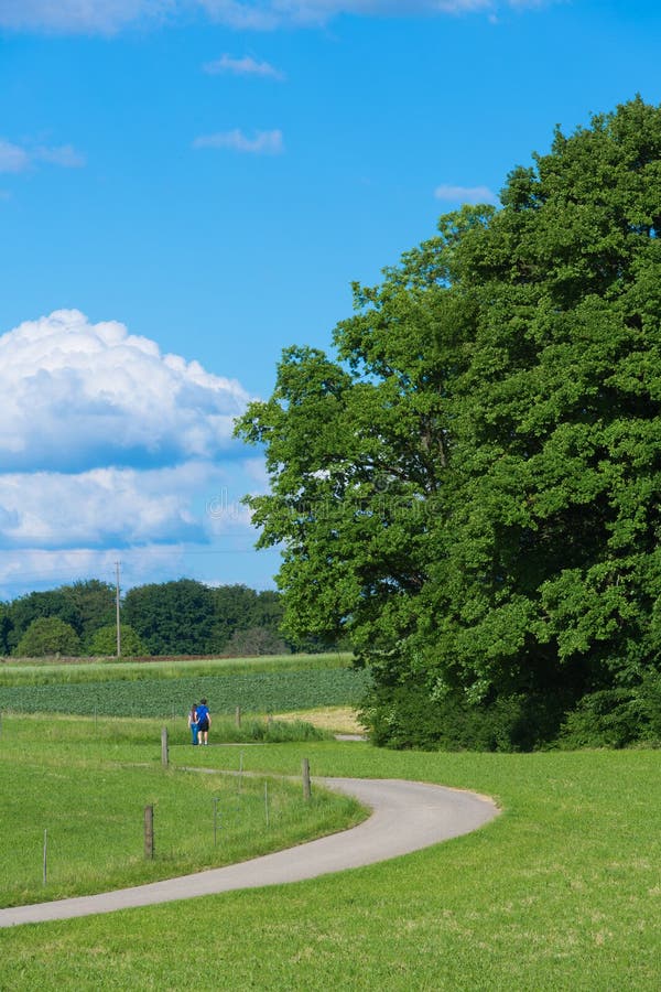 Caminhada fotos de stock royalty free